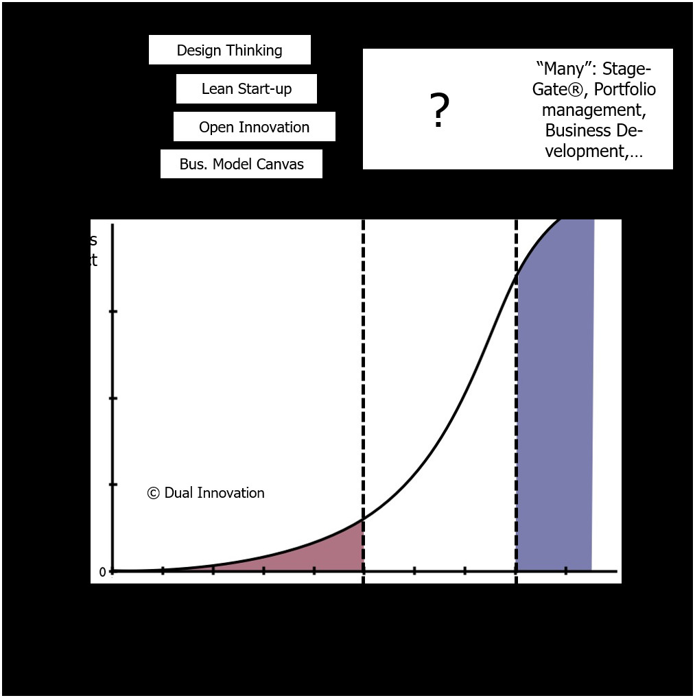 Scaling-Up - Crossing the internal chasm in corporate innovation 1