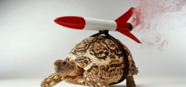 Featured Image for 5 Social Business Recommendations
