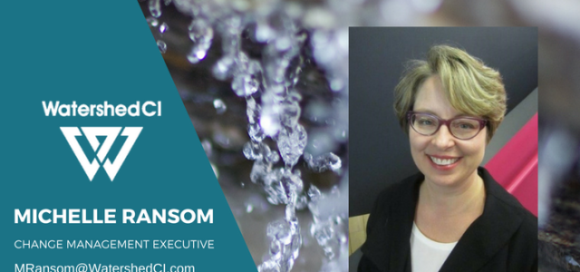Featured Image for A Conversation with Change Management Executive, Michelle Ransom