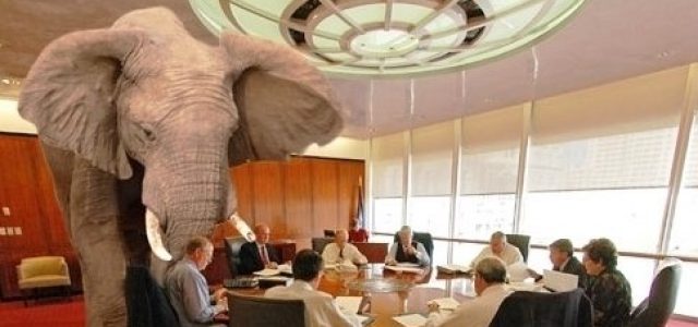 Featured Image for An Elephant In Our Room