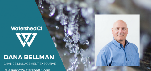 Featured Image for A Conversation with Change Management Executive, Dana Bellman