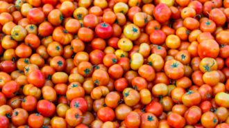 Three Digital Transformation Lessons you can learn from Australian Farmers