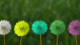 Cultural Change and the Challenge of Digital Transformation