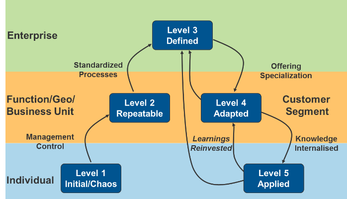 Organizational Maturity And Why It’s Important - The Digital ...