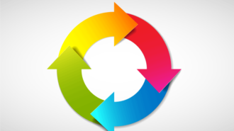 Exploring enterprise lifecycles
