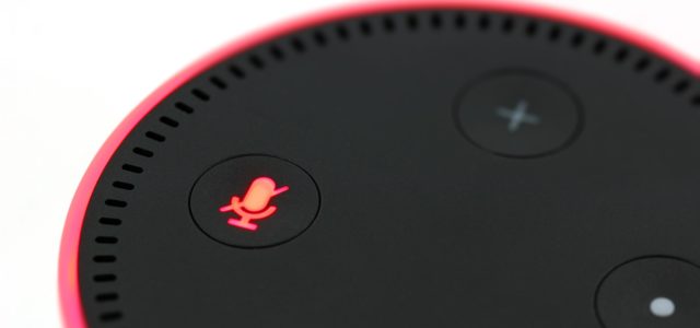 Echo Dot Alexa Next Co-Worker?