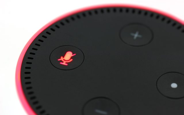 Echo Dot Alexa Next Co-Worker?