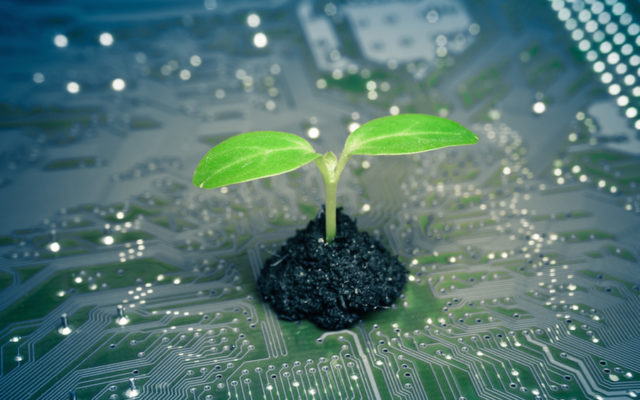 What's new in digital transformation? How about digital sustainability?