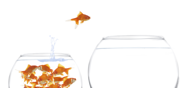 Search Result Image for 'DevOps Transformation: 7 Ways To Hack The Culture'