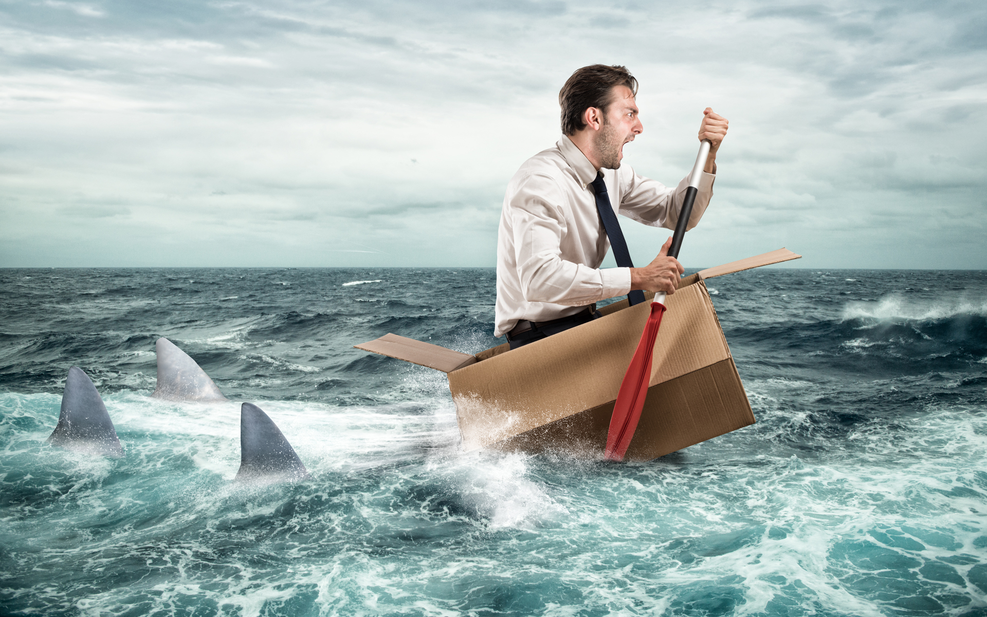 Tours and Activities minefield - The Digital Transformation People