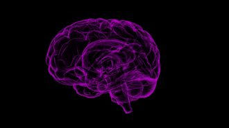 Focus on transformation psychology