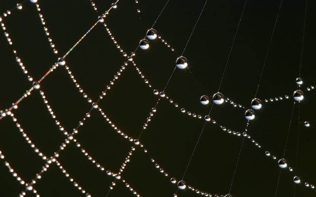 Transparency in supply chains and blockchain: What's the most common trap?