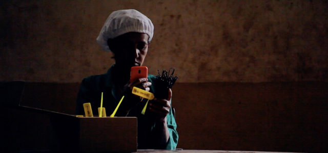Featured Image for To Curb Ghost Workers and Coffee Corruption, Africa Turns to Blockchain | OZY