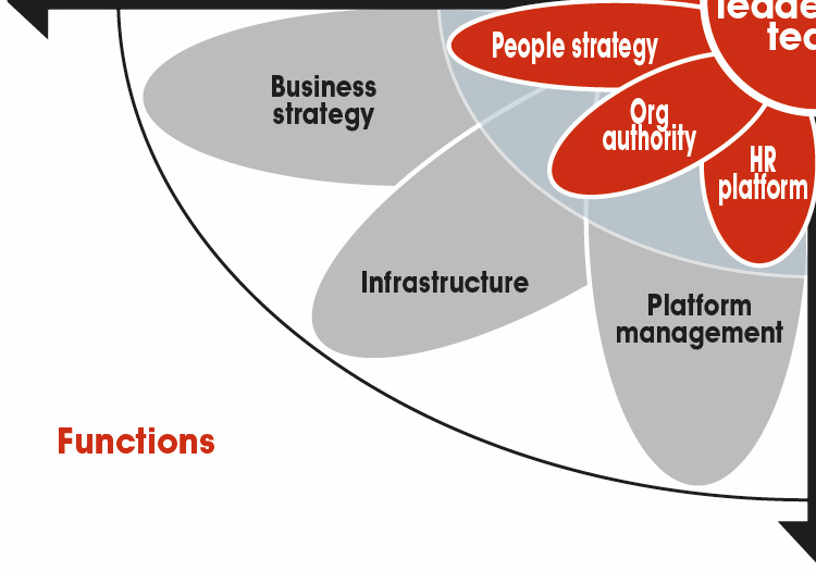 Functions in the new melded network HR model