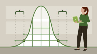 the purpose of statistics