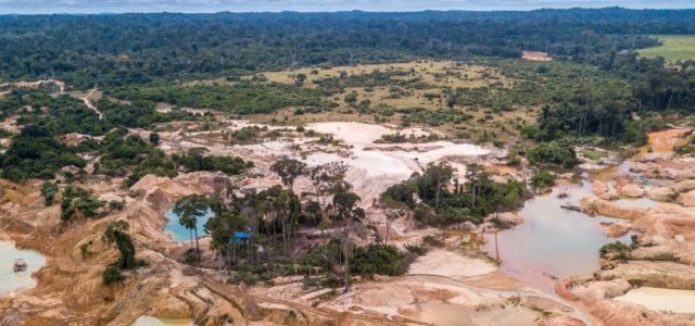 Featured Image for Statistic of the decade: The massive deforestation of the Amazon