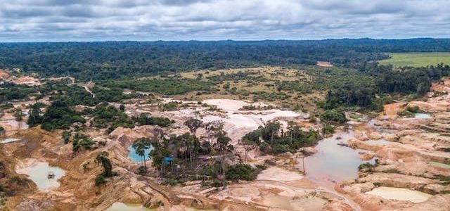 Featured Image for Statistic of the decade: The massive deforestation of the Amazon