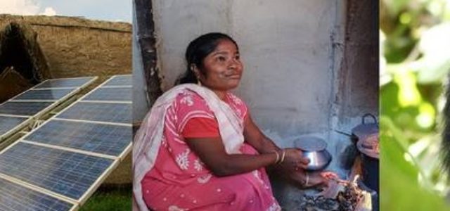 Featured Image for IKI Small Grants to Promote the Work of Small Organisations on Climate & Biodiversity