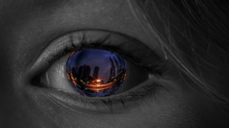 Does the role of the “Virtual CISO“ make any sense?